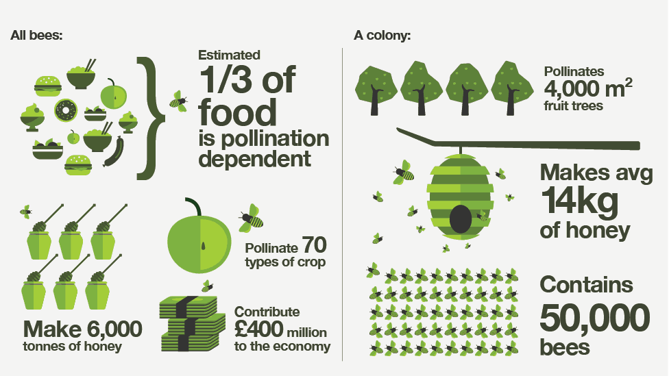 what bees do for us