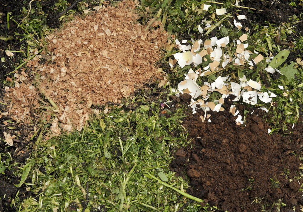 coffee-ground-aas-mulch