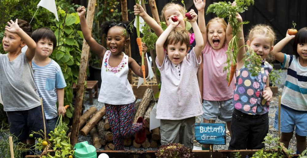 school garden growing project resource