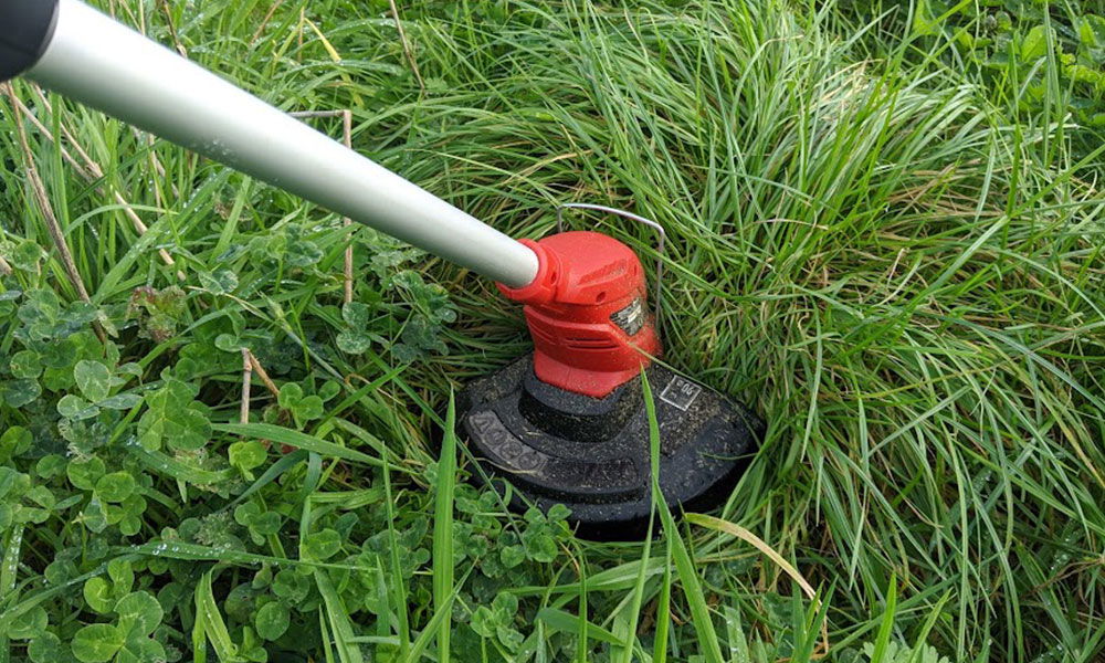 How to Use a Strimmer on Long Grass