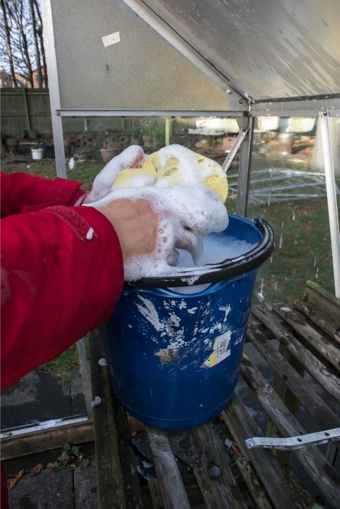 cleaning-greenhouse-window