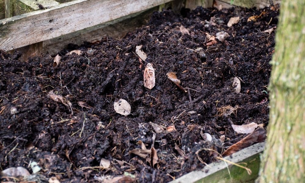 Where Can I Dispose of Old Compost?