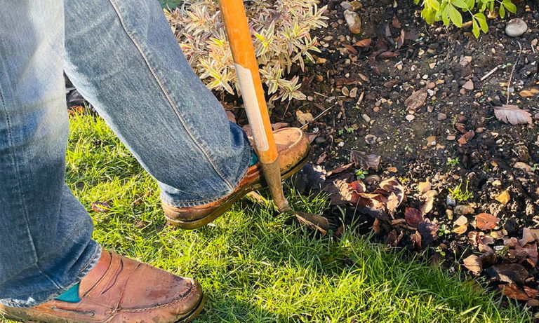 best lawn edger uk