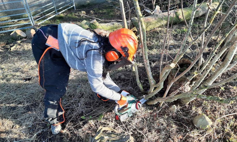 Bosch UniversalChain 18V Cordless Chainsaw Review