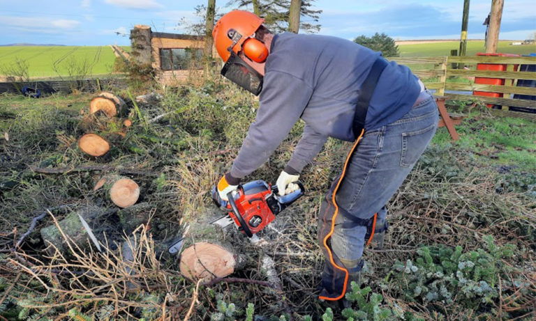 Einhell GC PC 2040 Petrol Chainsaw Review