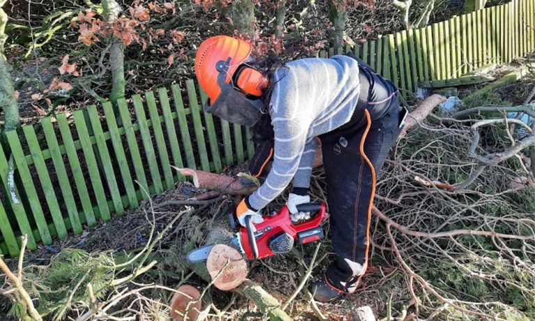 Einhell GE LC 18 Li Cordless Chainsaw Review