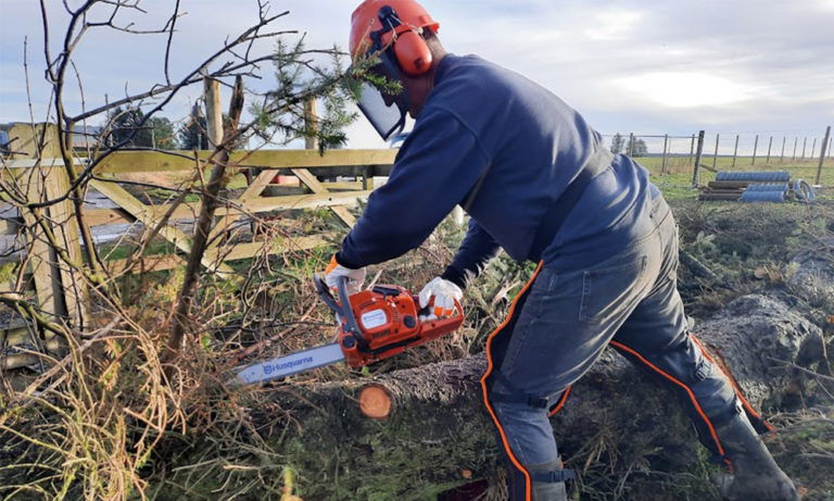 Husqvarna HUSQ120 14 Petrol Chainsaw Review