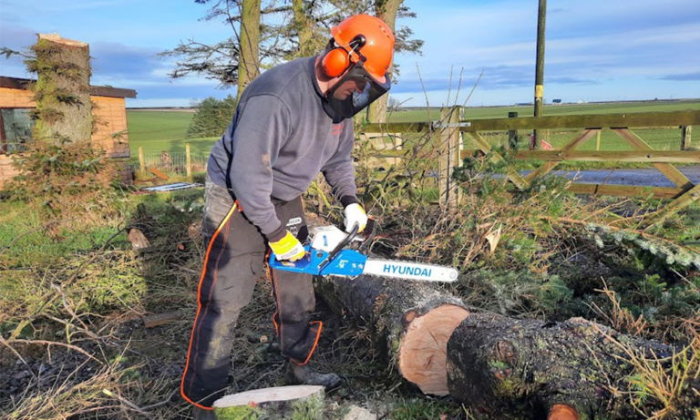 Hyundai Petrol Chainsaw Review
