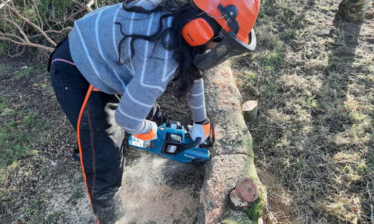 Makita DUC353Z Twin 18V Cordless Chainsaw Review