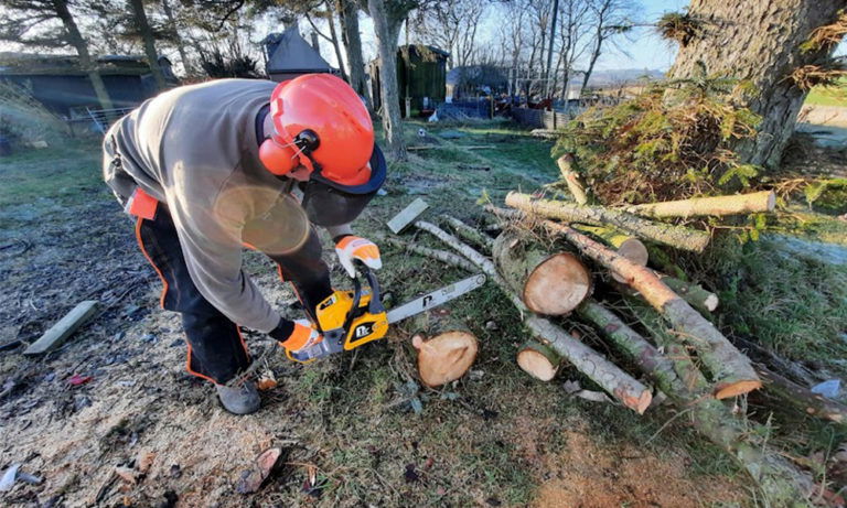 P1PE 62cc Petrol Chainsaw Review