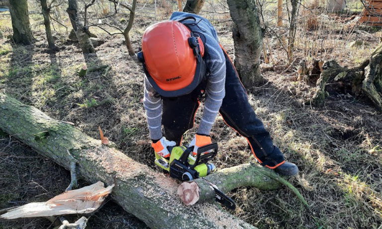 Ryobi RCS1830 150 ONE+ Cordless Chainsaw Review