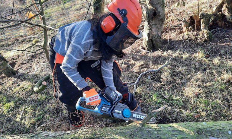 WESCO 36V Cordless Chainsaw Review