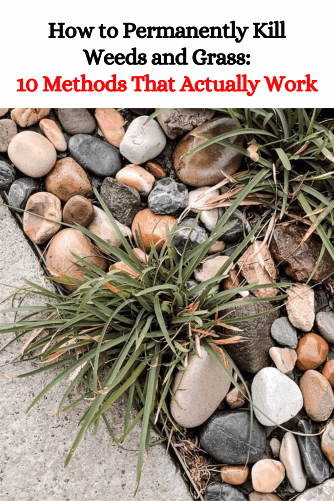 How to Permanently Kill Weeds and Grass: 10 Methods That Actually Work