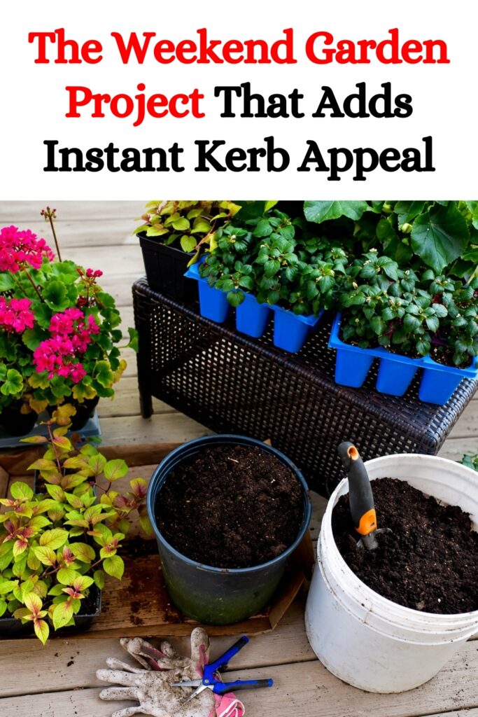 The Weekend Garden Project That Adds Instant Kerb Appeal for Under £30
