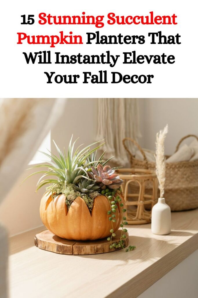 15 Stunning Succulent Pumpkin Planters That Will Instantly Elevate Your Fall Decor