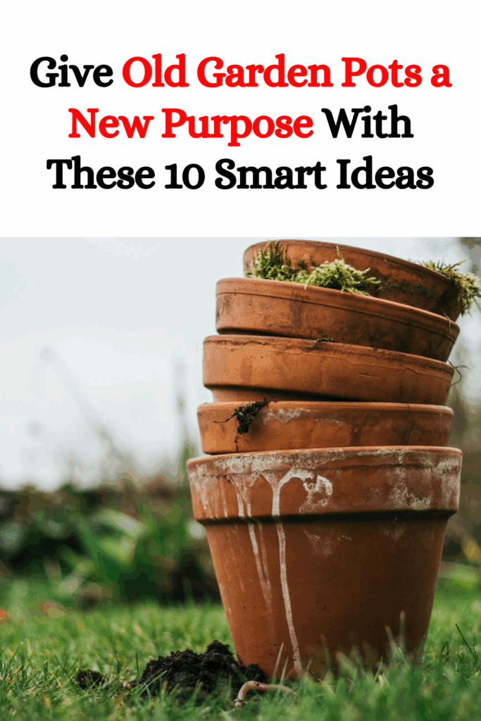 Give Old Garden Pots a New Purpose With These 10 Smart Ideas