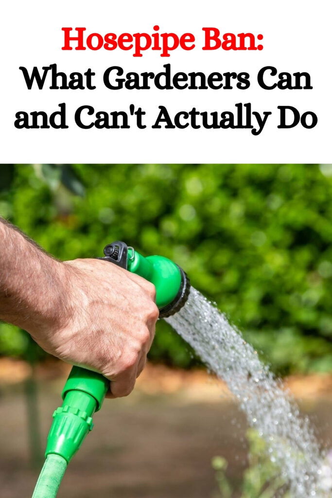 Hosepipe Ban: What Gardeners Can and Can’t Actually Do