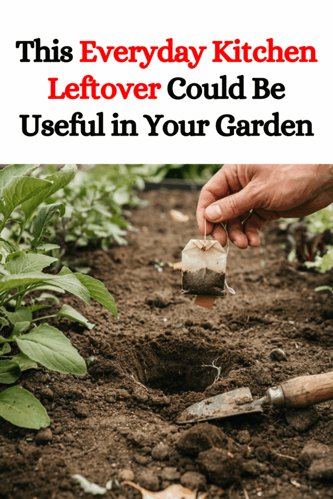 This Everyday Kitchen Leftover Could Be Useful in Your Garden