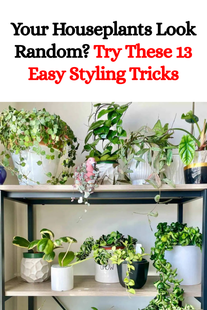 Your Houseplants Look Random? Try These 13 Easy Styling Tricks