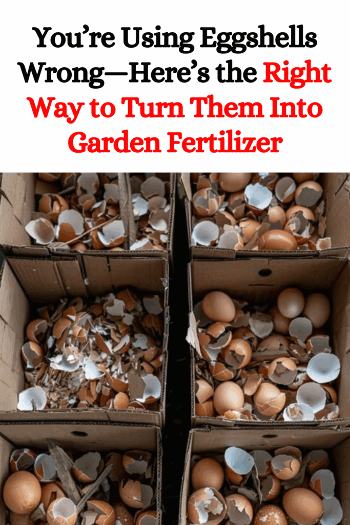You’re Using Eggshells Wrong—Here’s the Right Way to Turn Them Into Garden Fertilizer