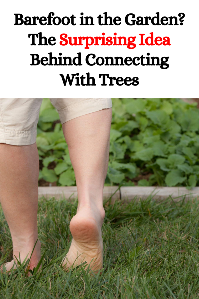 Barefoot in the Garden? The Surprising Idea Behind Connecting With Trees