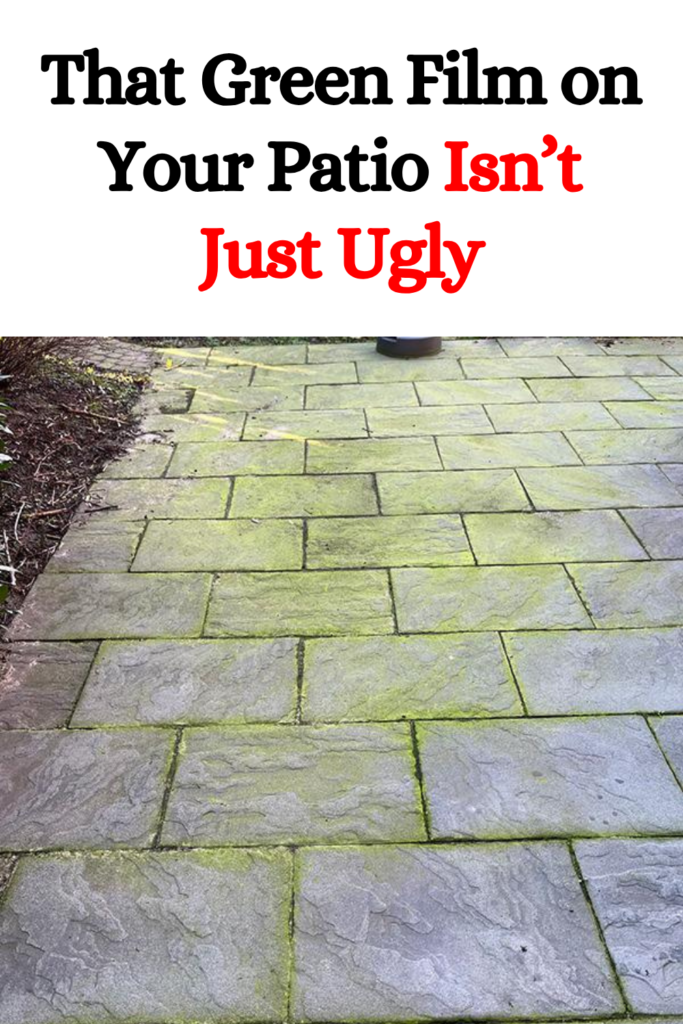 That Green Film on Your Patio Isn’t Just Ugly