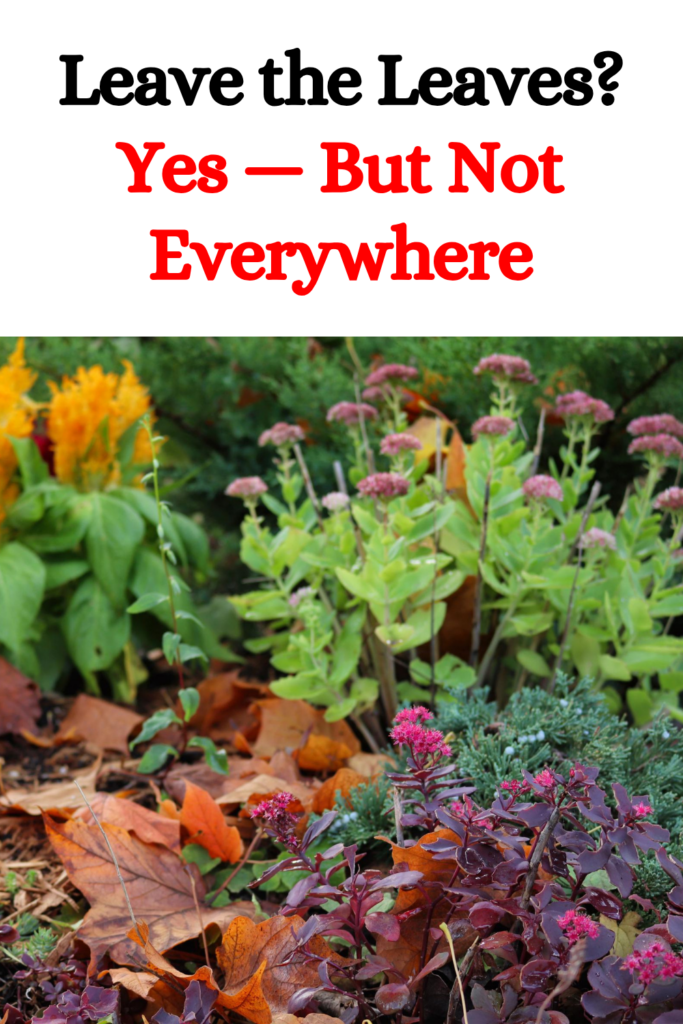 Leave the Leaves? Yes — But Not Everywhere